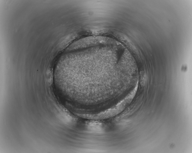 X0000093600471200711121153