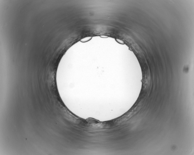 X0000093600473200711121153