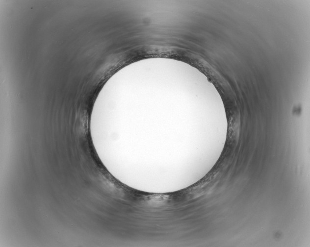 X0000093600474200711121153