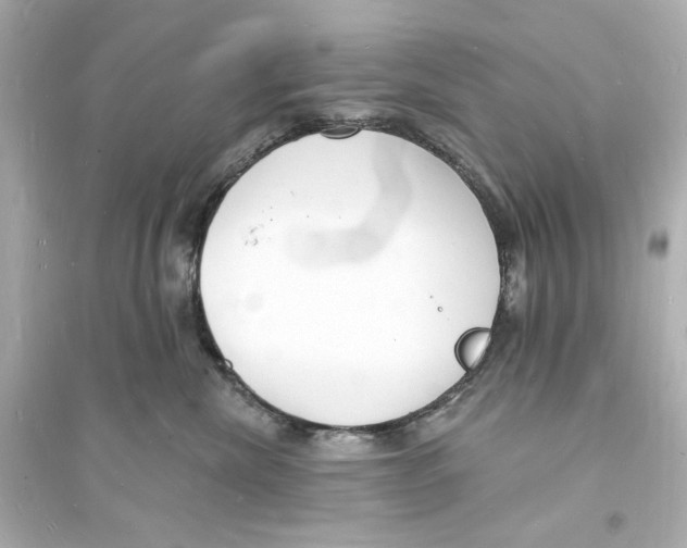 X0000093600476200711121153