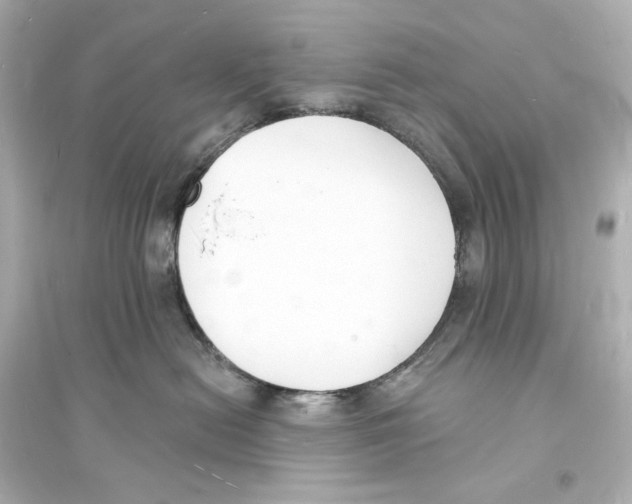 X0000093600478200711121153