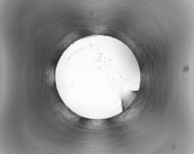 X0000093600479200711121153