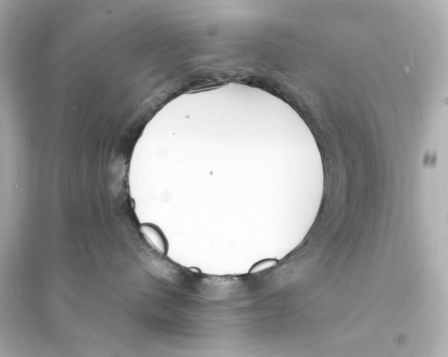 X0000093600480200711121153