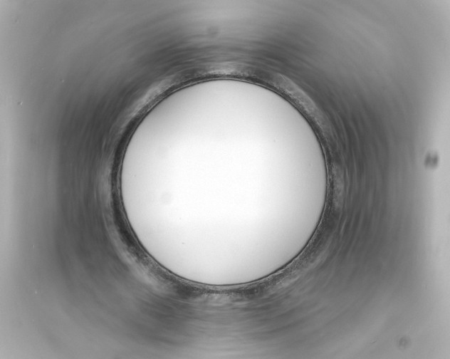 X0000093600482200711121152