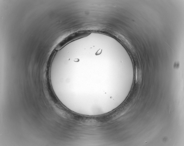 X0000093600483200711121152