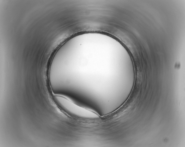 X0000093600485200711121152