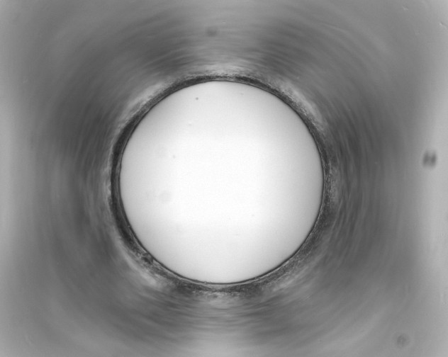 X0000093600486200711121152