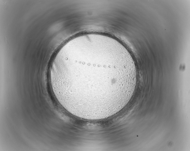 X0000093600487200711121152