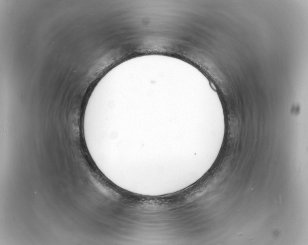 X0000093600489200711121152