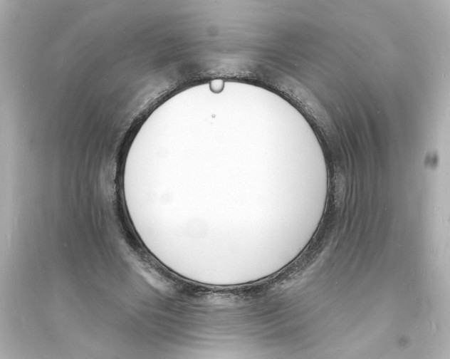 X0000093600490200711121152