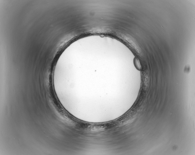 X0000093600491200711121152