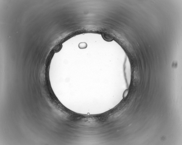 X0000093600492200711121152