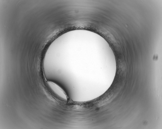 X0000093600496200711121152