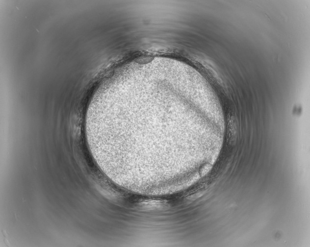 X0000093600499200711121152