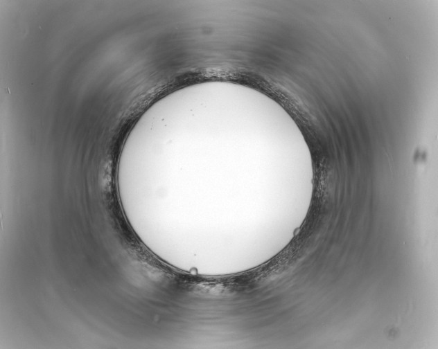 X0000093600502200711121152