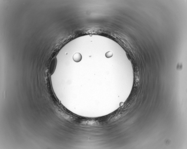 X0000093600503200711121152