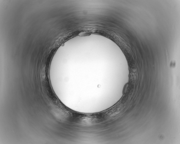 X0000093600504200711121152