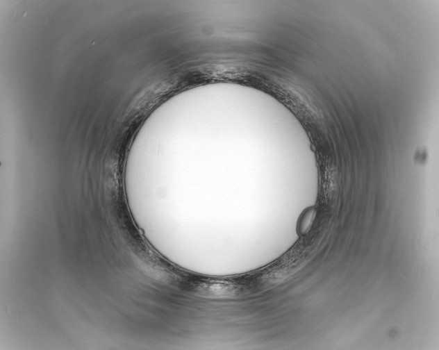 X0000093600506200711121152