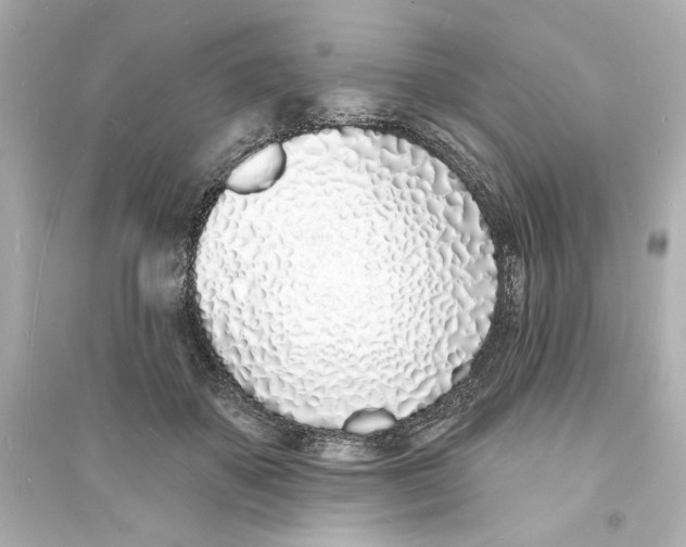 X0000093600507200711121152