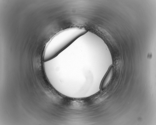 X0000093600508200711121152