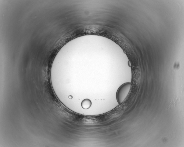 X0000093600510200711121152