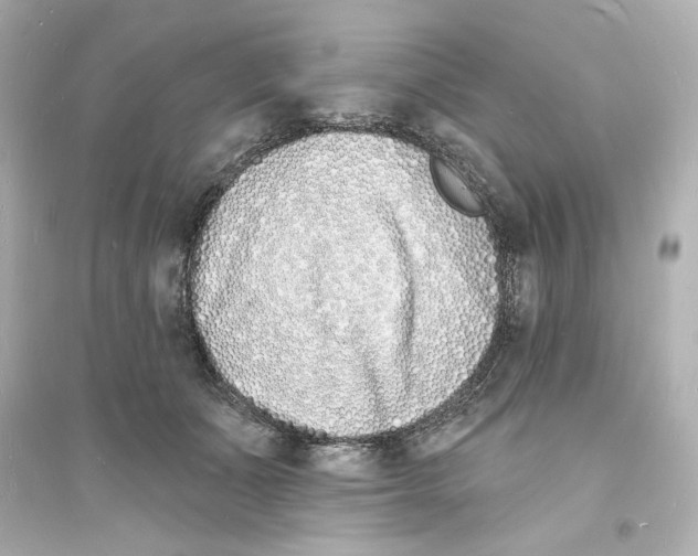 X0000093600511200711121152