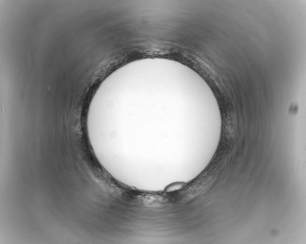 X0000093600512200711121152