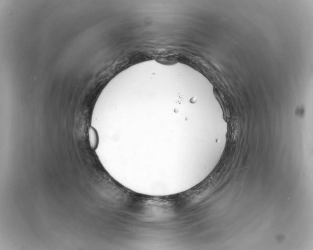 X0000093600515200711121152