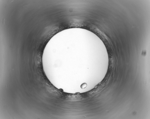 X0000093600517200711121151