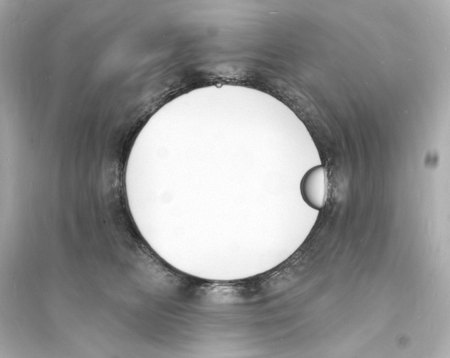 X0000093600518200711121151