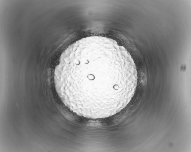 X0000093600519200711121151