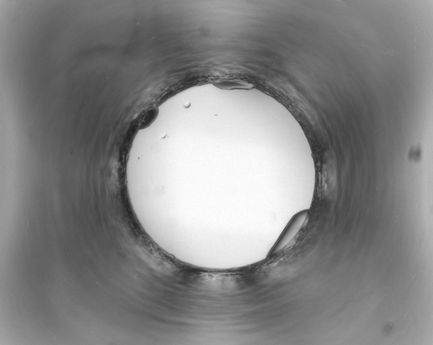 X0000093600520200711121151