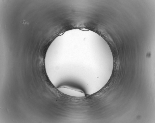 X0000093600521200711121151