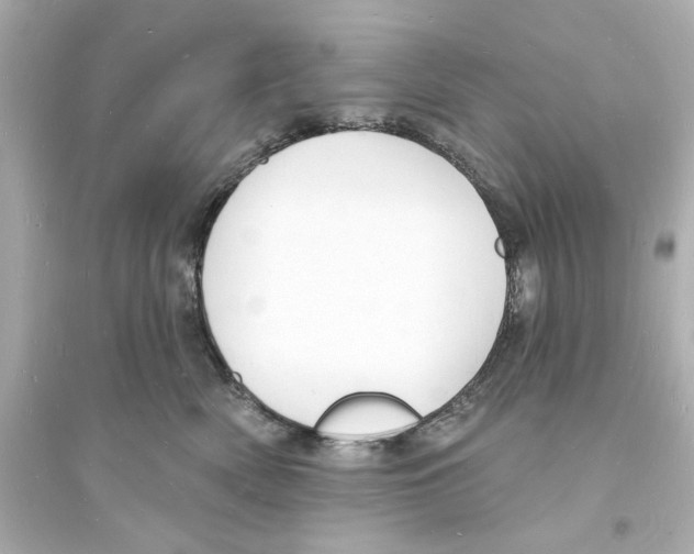 X0000093600522200711121151