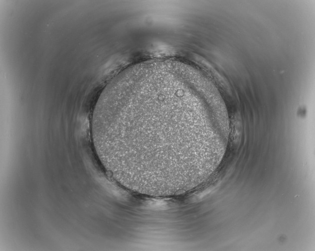 X0000093600523200711121151