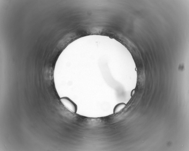 X0000093600525200711121151