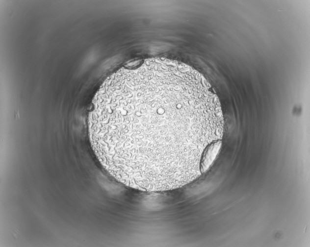 X0000093600527200711121151