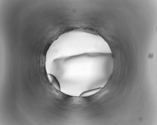 X0000093600528200711121151