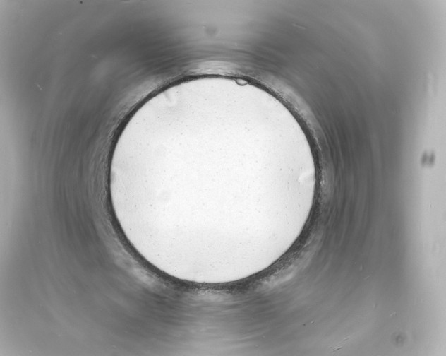 X0000093600529200711121151