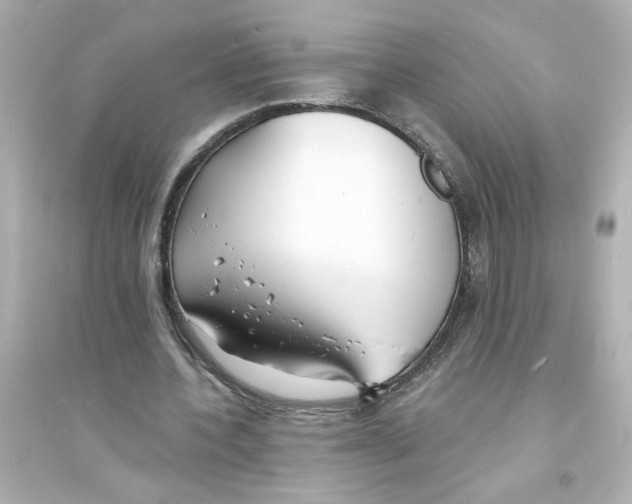 X0000093600532200711121151