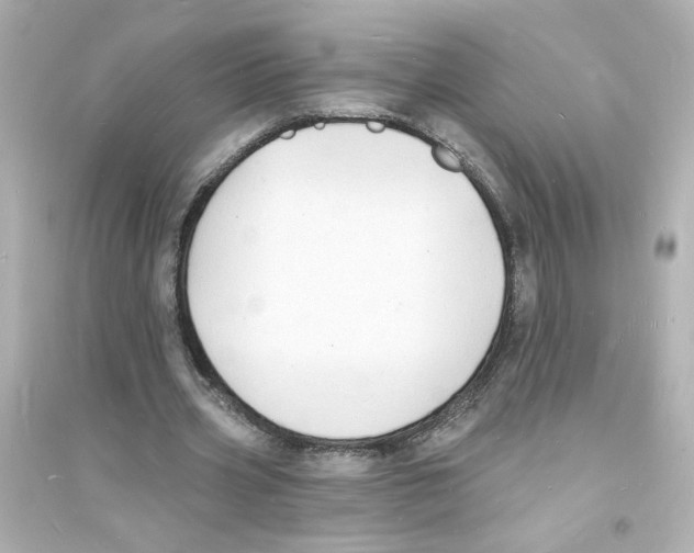 X0000093600533200711121151