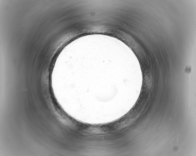 X0000093600534200711121151