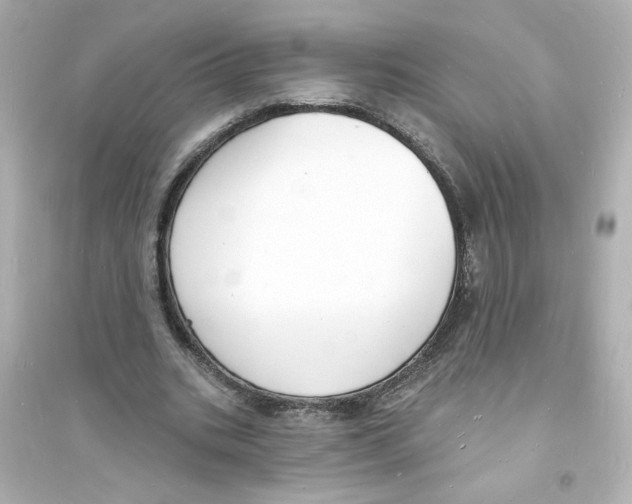 X0000093600535200711121151