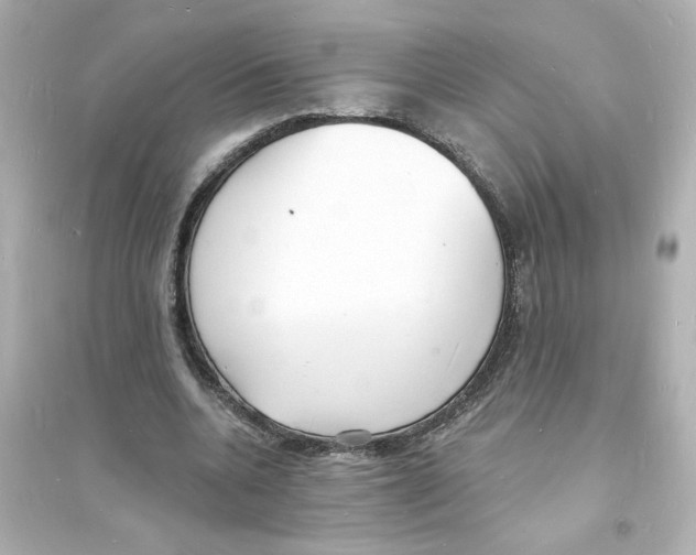 X0000093600536200711121151