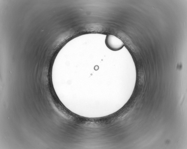 X0000093600538200711121151