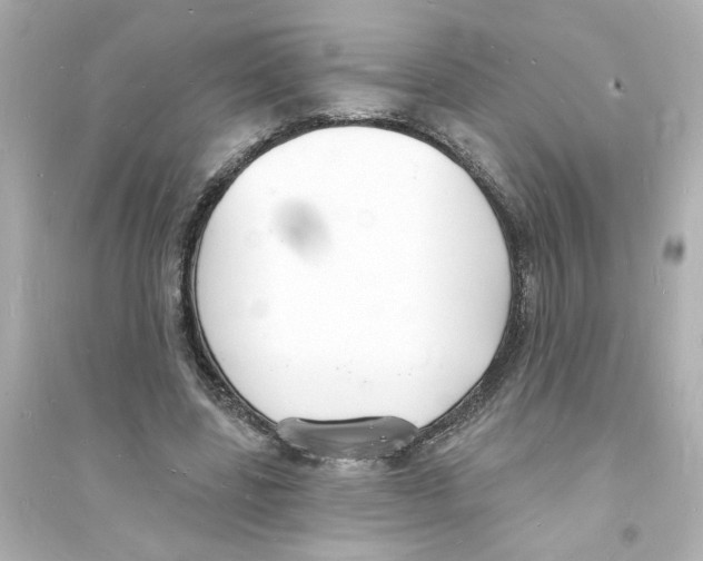 X0000093600539200711121151