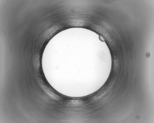 X0000093600541200711121151