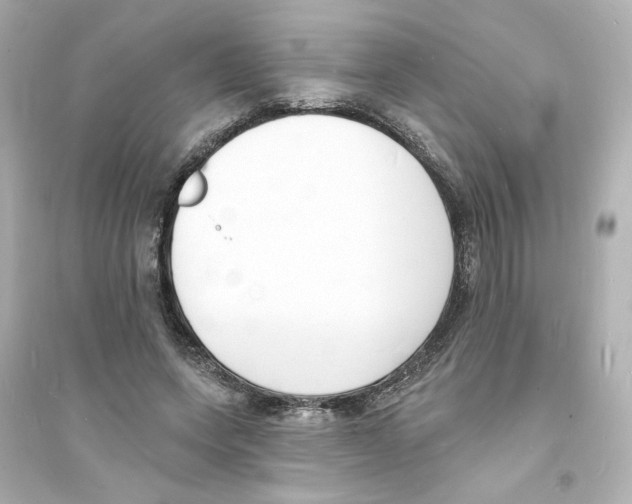 X0000093600543200711121151