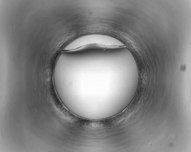 X0000093600546200711121151