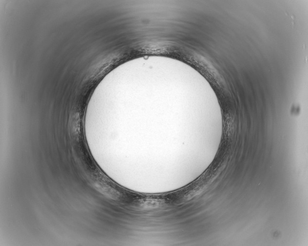 X0000093600549200711121151